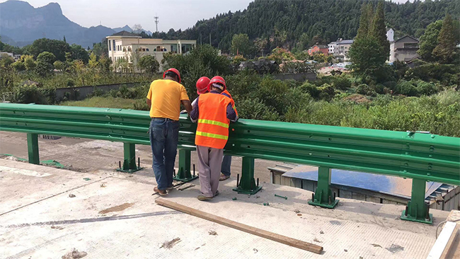 阜新高速公路护栏板的维护确保道路安全的关键环节